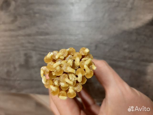 Восковые свечи ручной работы