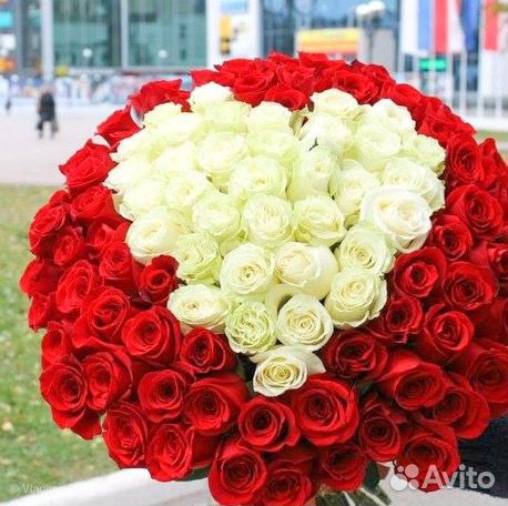 101 Роза 101 Роза