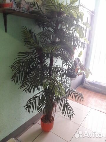 Искусственное дерево Искусственное дерево