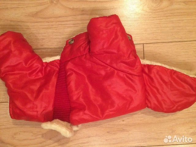 Одежда для собак 7 предметов +2 поводка Одежда для собак 7 предметов +2 поводка