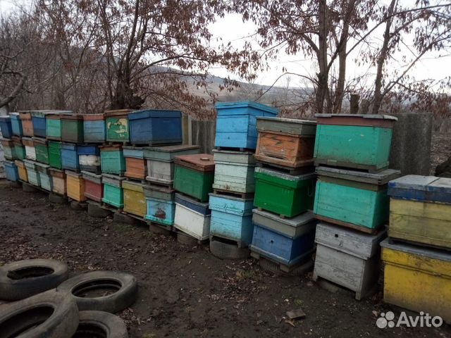 Тары для пчёл купить на Зозу.ру - фотография № 1