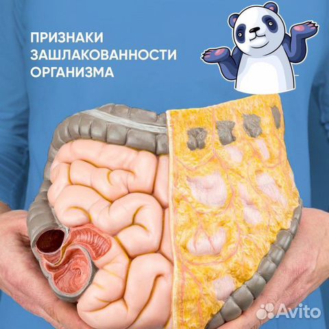 Программа Детокс для всего организма