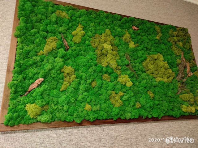 Панно из мха фитокартина фитопанно