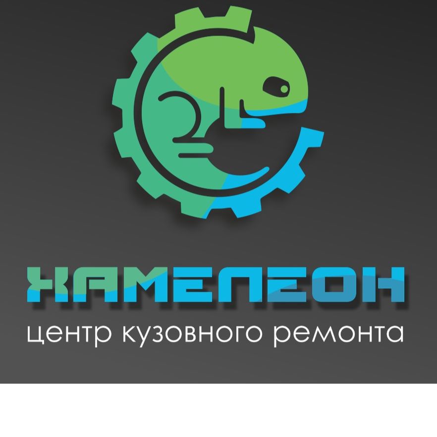 Хамелеон красноярск. Хамелеон Новосибирск. Chameleon в ВК. Chameleon Company.