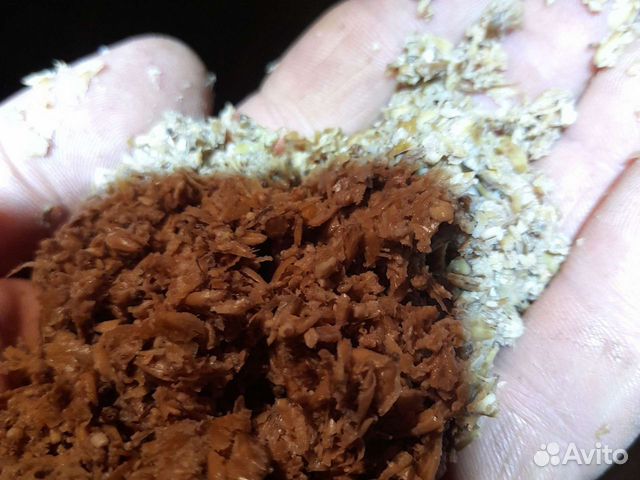 Корм для прудовой рыбы