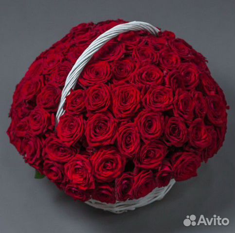 101 роза Доставка цветов Новосибирск №63