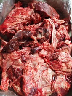 Мясо говядина субпродукты для собак