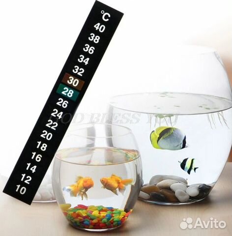 Термометры в ассортименте