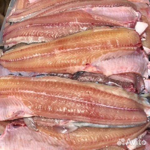 Рыба свежая, живая