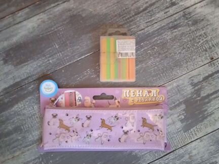 Пенал для школы+счетные палочки. Цена за все