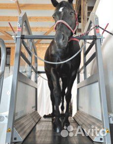 Беговые плотна для беговых дорожек для лошадей