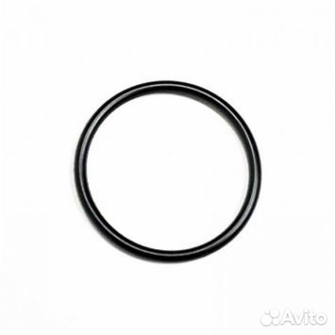 420631610 Кольцо уплотнительное вала вариатора Can