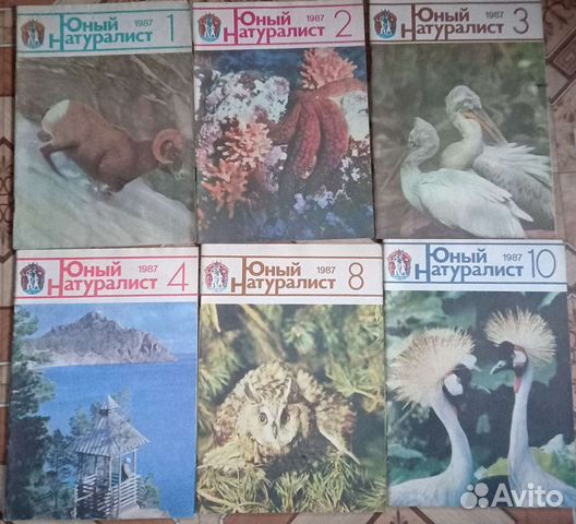 Журнал юный натуралист