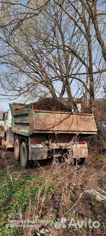 Коровяк навоз для растений