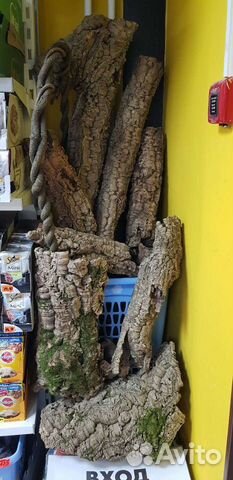 Кора пробкового дуба