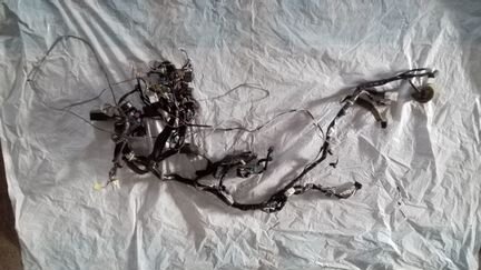 Коса электрическая Сузуки Свифт 2001-2003