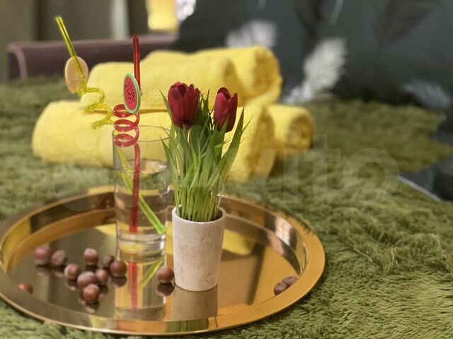 Квартира-студия, 25 м², 16/17 эт.