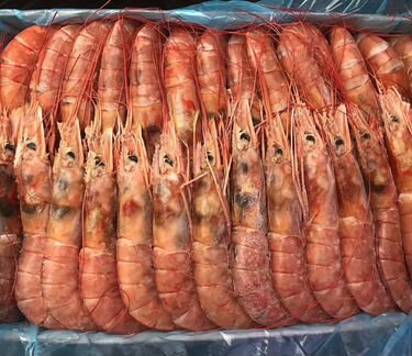 Лангустины L2