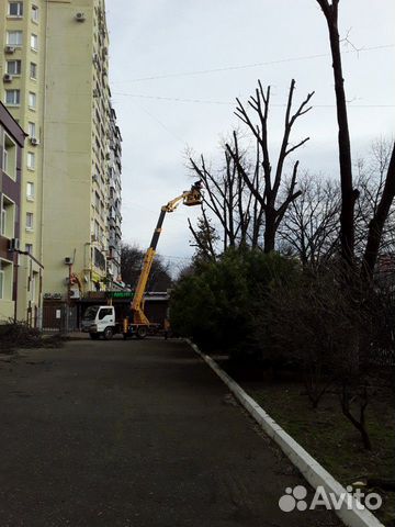 Спил деревьев любой сложности