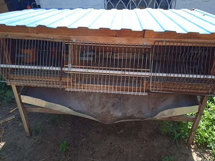 Клетка для кроликов