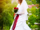 Свадебный фотограф Тверская область