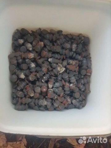 Шипы автопокрышки