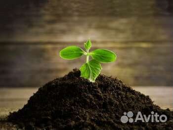 Чернозём,Растительный грунт,Земля,Почва