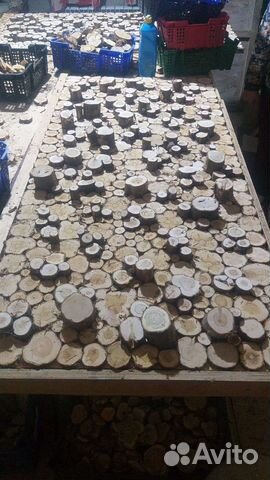 Панно и спилы из можжевельника