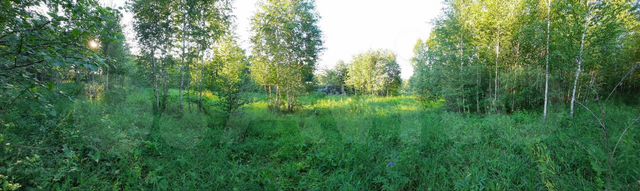 Участок 12,1 сот. (СНТ, ДНП)