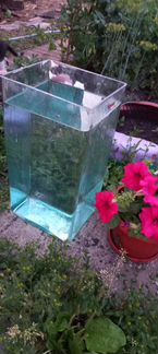 Продам стеклянные колбы