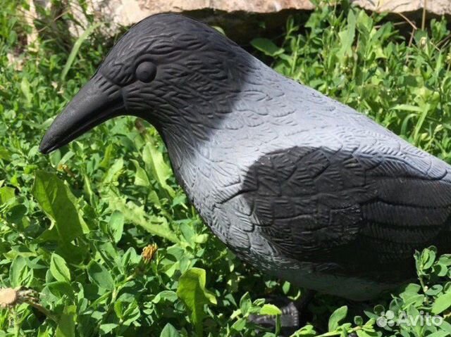 Чучело вороны North way