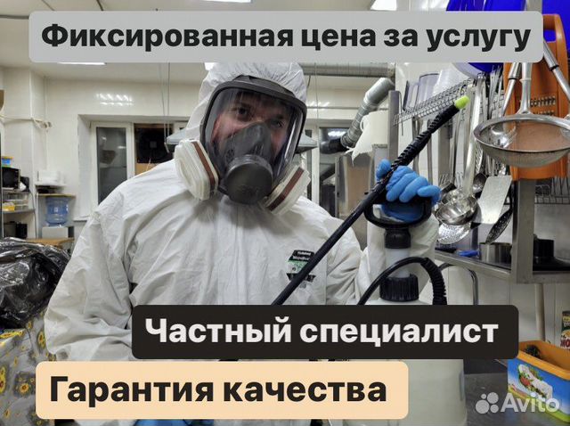 Уничтожение тараканов, травить клопов, дезинфекция