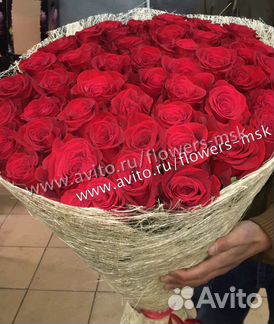 51 роза Эквадор 80 см купить на Зозу.ру - фотография № 1