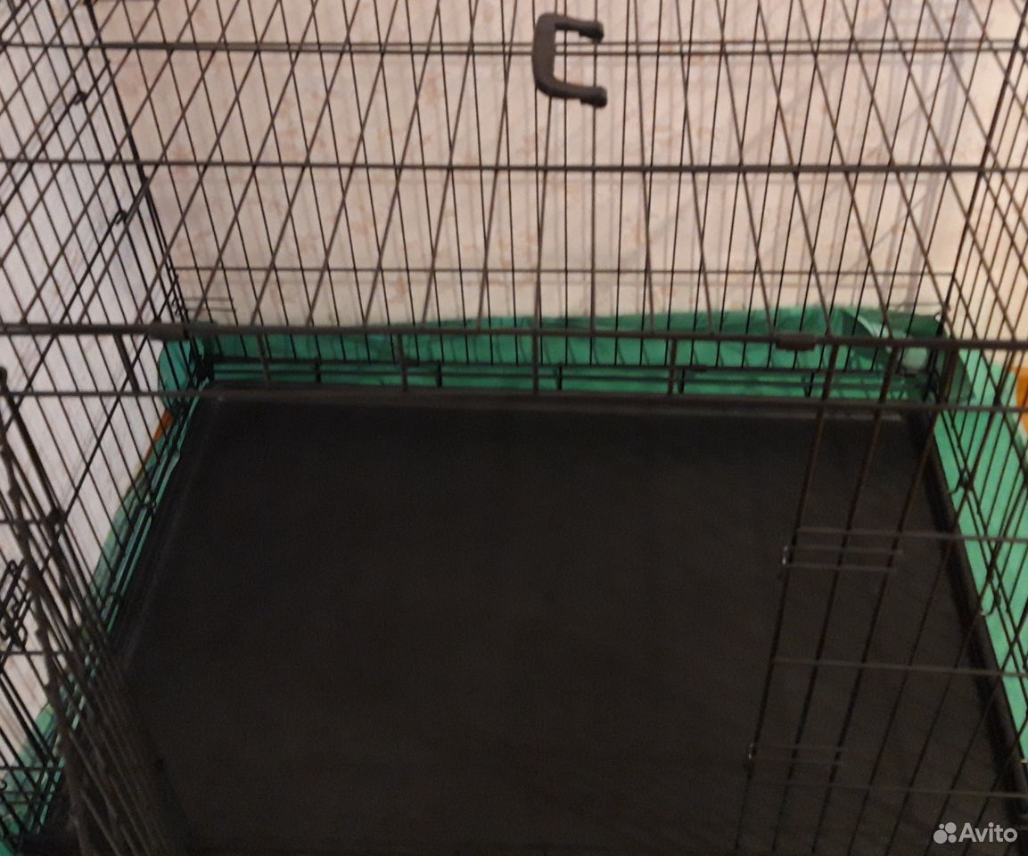 Cage for dogs
