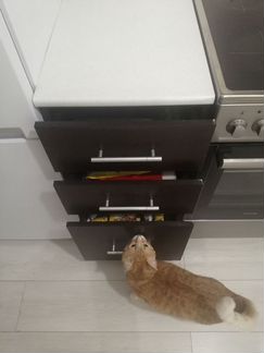 Кухня 2,5 метра