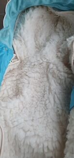 Комбинезон трансформер (конверт)