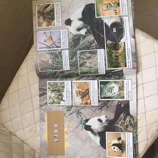 Альбомы с наклейками Panini 90-х годов