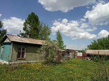 Ягодное г барнаул. Ягодное г барнаул. За сколько продает землянику. Ягодное г барнаул. Сборка ягод.