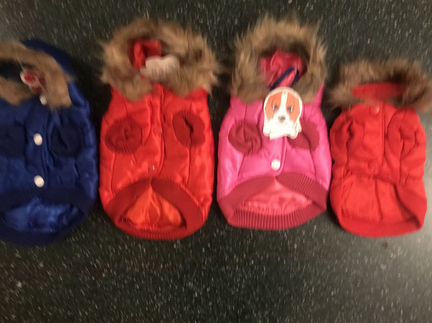 Стильная одежда для маленьких собачек