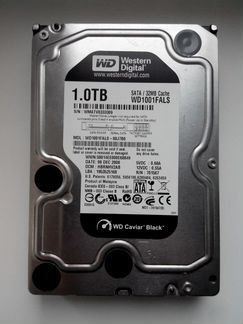 Жесткий диск Western Digital Caviar Black 1 Тб