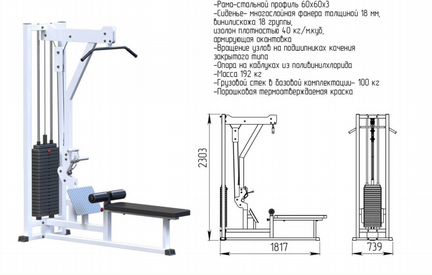 Вертикальная горизонтальная тяга 2в1 (стек 100кг)