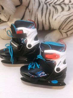 Коньки