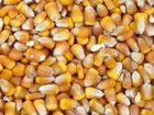 Продам кукурузу и сою урожая 2021 года