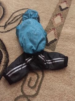 Костюмчик для маленькой собачки