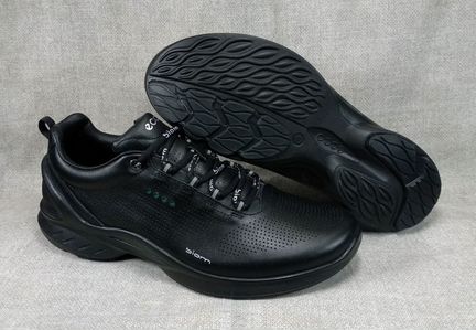 Ecco biom fjuel