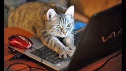 Компьютерный Мастер