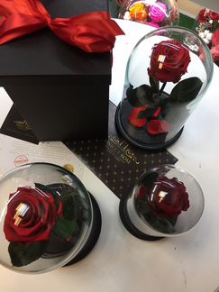 Роза в колбе