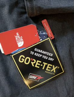 The North Face Apex Flex Gore Tex