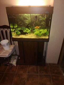 Аквариум с тумбой 100л