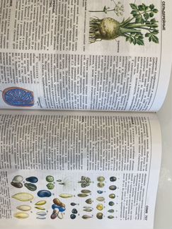 Книга Биология школьная энциклопедия